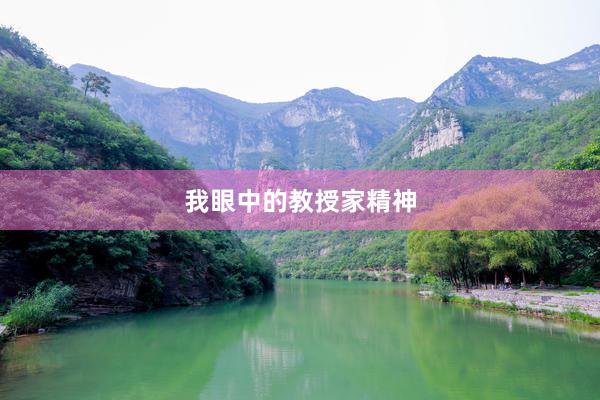我眼中的教授家精神