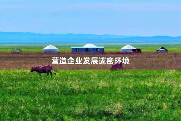 营造企业发展邃密环境