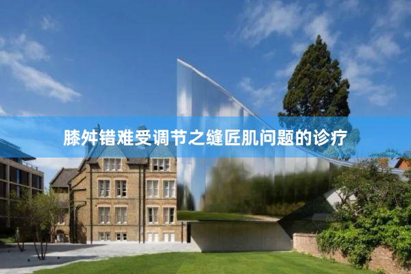膝舛错难受调节之缝匠肌问题的诊疗
