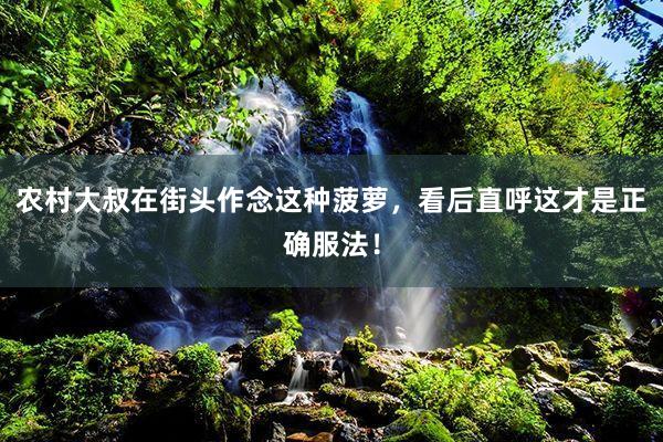 农村大叔在街头作念这种菠萝，看后直呼这才是正确服法！