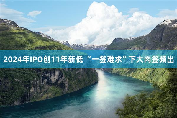 2024年IPO创11年新低 “一签难求”下大肉签频出